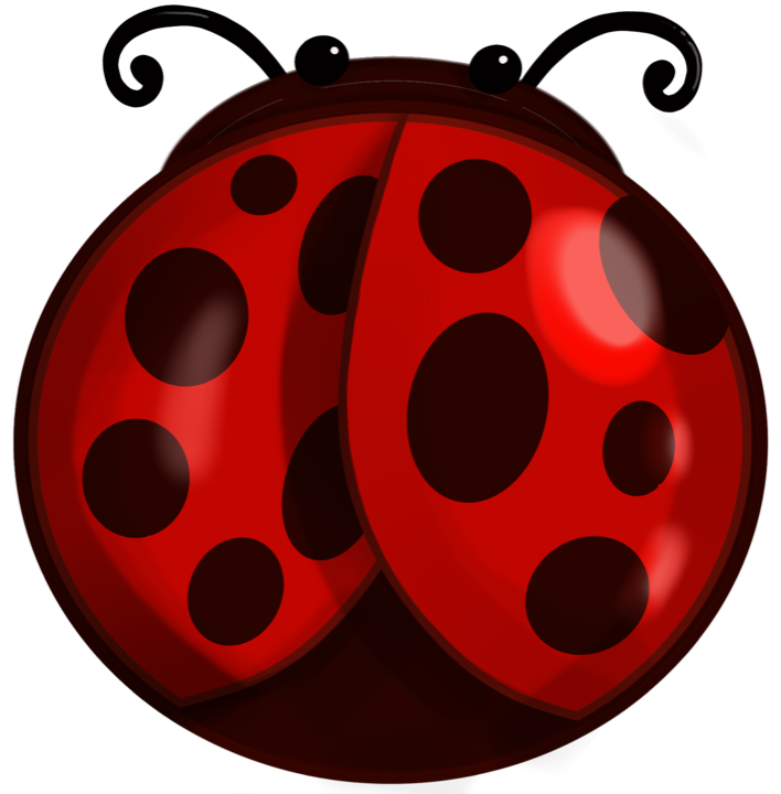 Rina, the ladybug